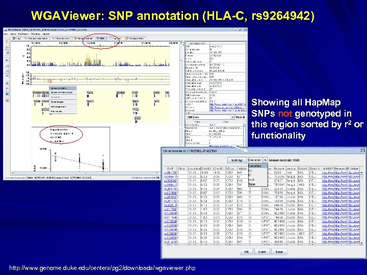 WGAViewer: SNP annotation (HLA-C, rs 9264942) Showing all Hap. Map SNPs not genotyped in