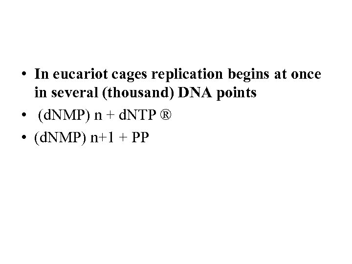  • In eucariot cages replication begins at once in several (thousand) DNA points