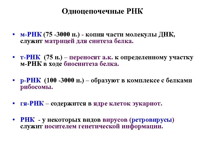 Одноцепочечные РНК • м-РНК (75 -3000 н. ) - копия части молекулы ДНК, служит