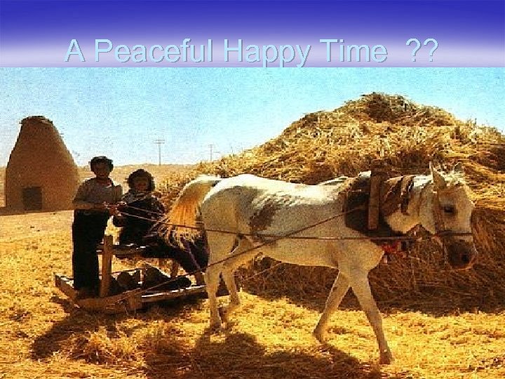 A Peaceful Happy Time ? ? 