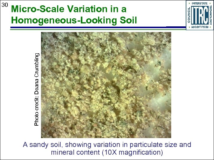 Micro-Scale Variation in a Homogeneous-Looking Soil Photo credit: Deana Crumbling 30 A sandy soil,