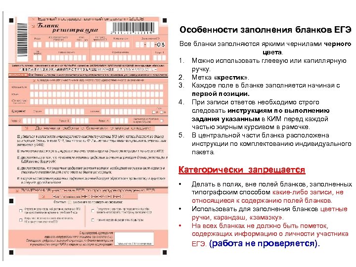 Образец заполнения бланка по информатике егэ