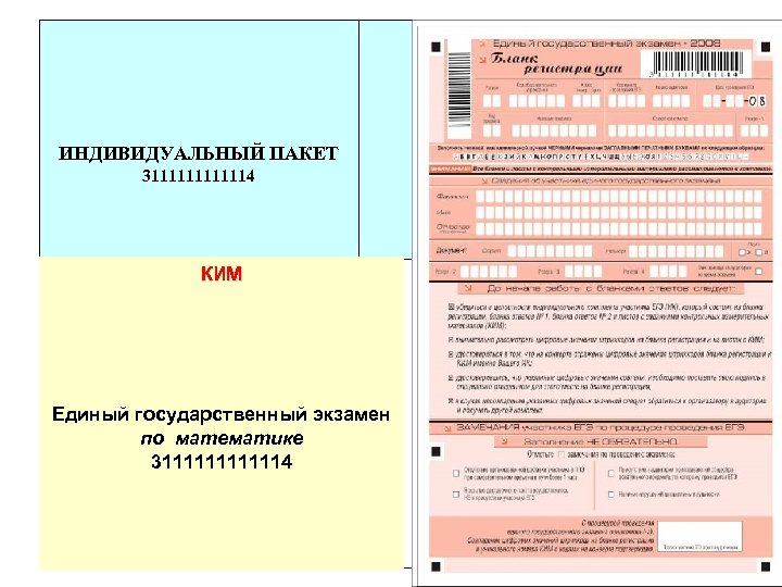 ИНДИВИДУАЛЬНЫЙ ПАКЕТ 31111114 КИМ Единый государственный экзамен по математике 31111114 