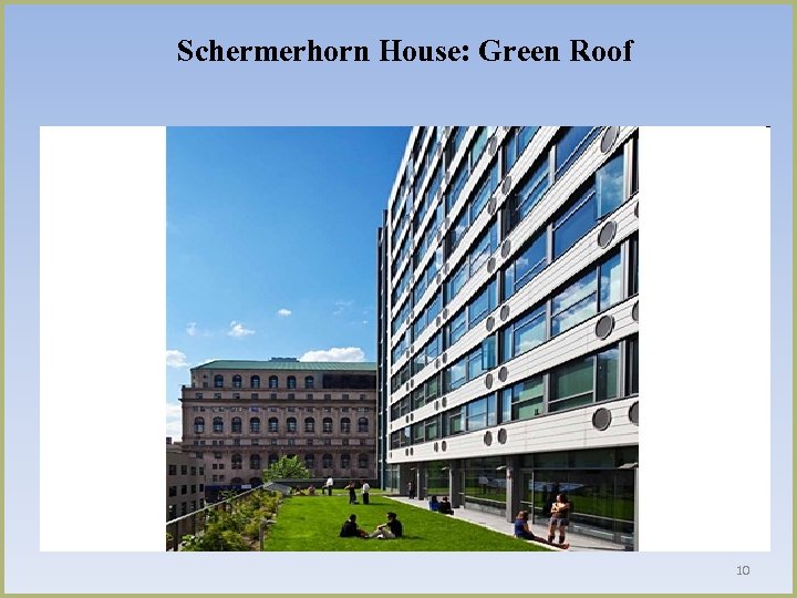 Schermerhorn House: Green Roof 10 