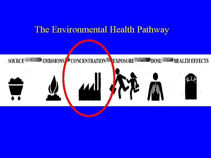 The Environmental Health Pathway 