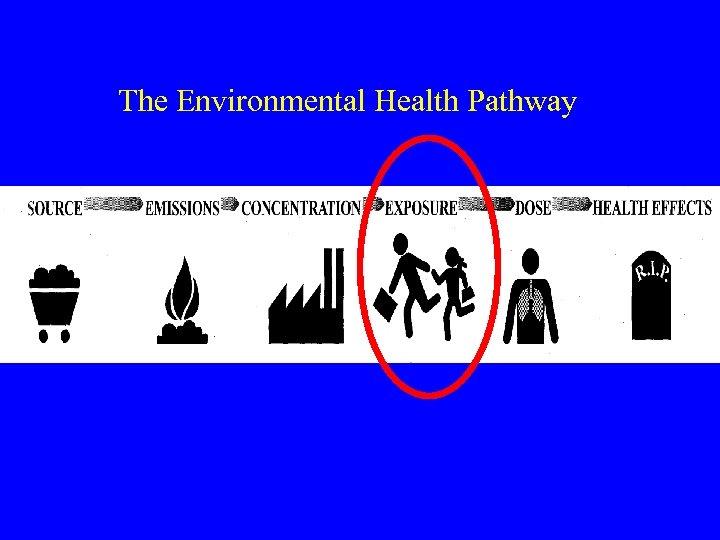 The Environmental Health Pathway 