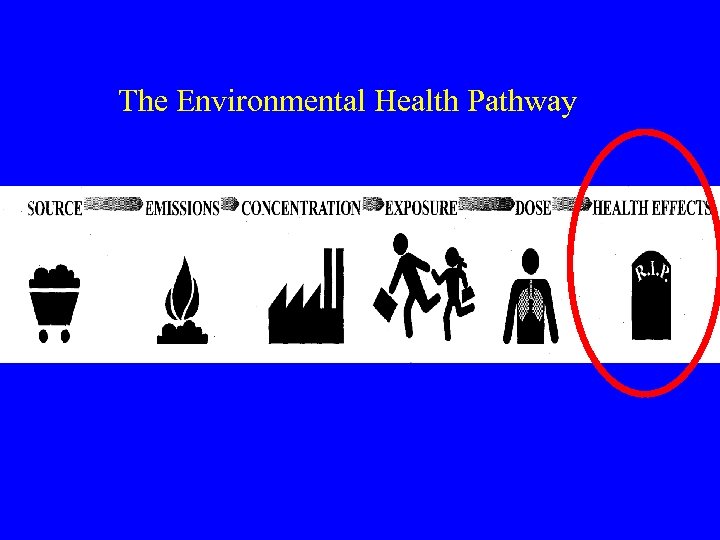 The Environmental Health Pathway 