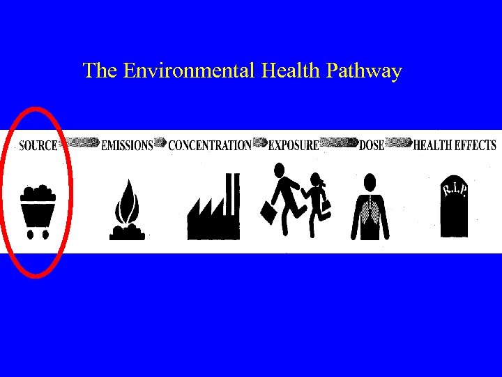 The Environmental Health Pathway 