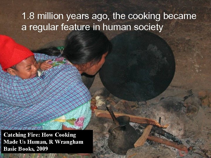 1. 8 million years ago, the cooking became a regular feature in human society