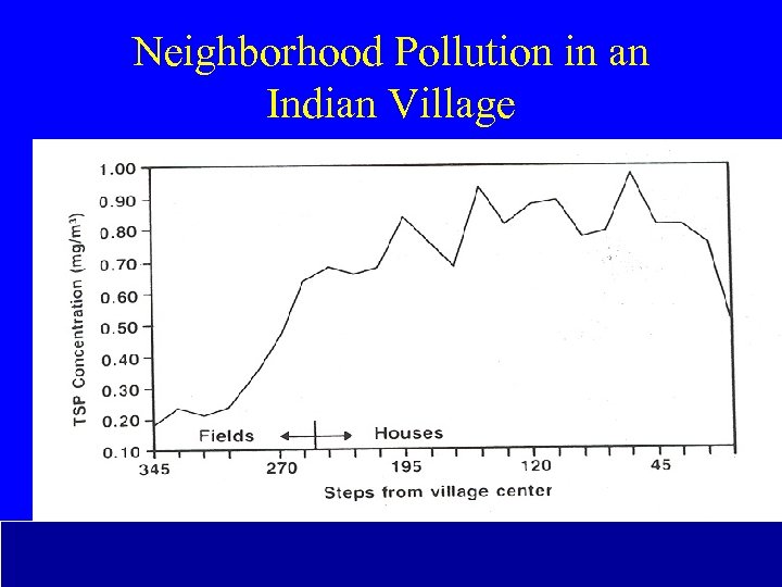 Neighborhood Pollution in an Indian Village 