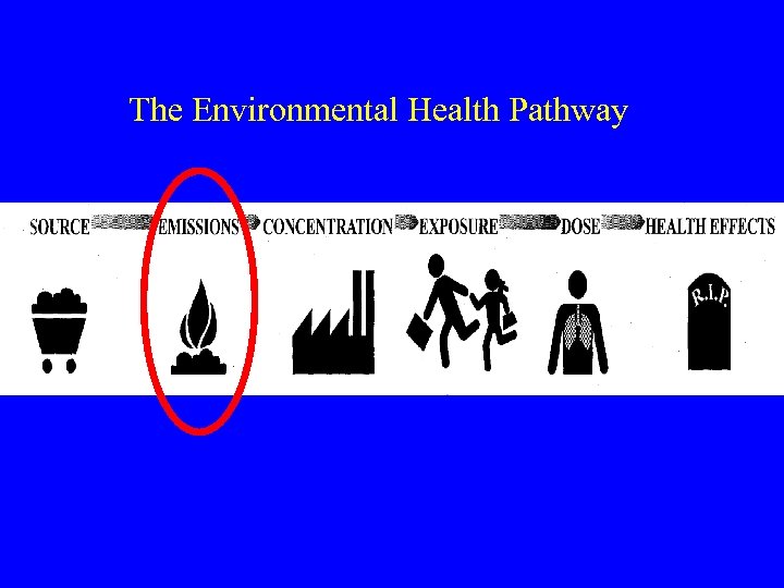 The Environmental Health Pathway 