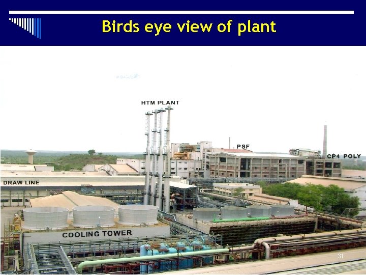 Birds eye view of plant 31 31 