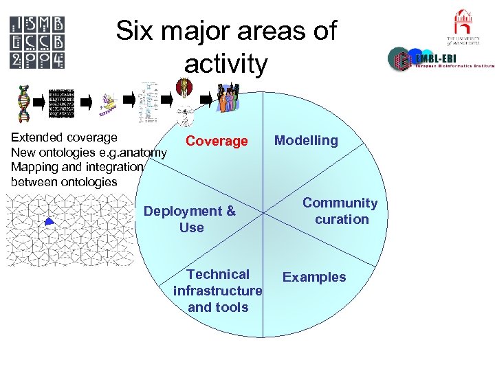 Six major areas of activity Extended coverage New ontologies e. g. anatomy Mapping and