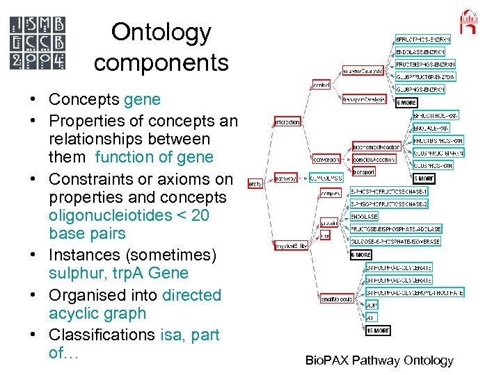 Ontology components • Concepts gene • Properties of concepts and relationships between them function