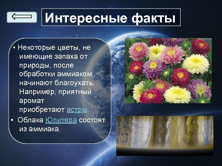 Интересные факты • Некоторые цветы, не имеющие запаха от природы, после обработки аммиаком начинают