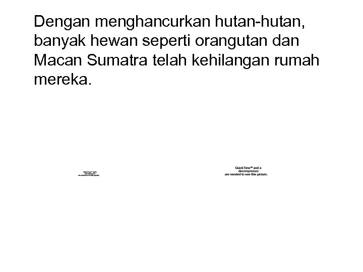 Dengan menghancurkan hutan-hutan, banyak hewan seperti orangutan dan Macan Sumatra telah kehilangan rumah mereka.