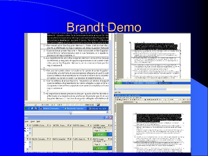 Brandt Demo 