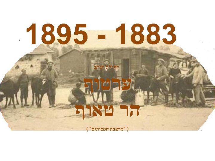  3881 - 5981 קהילת יעקב ערטוף הר טאוף ) "מושבת המסיתים" ( 
