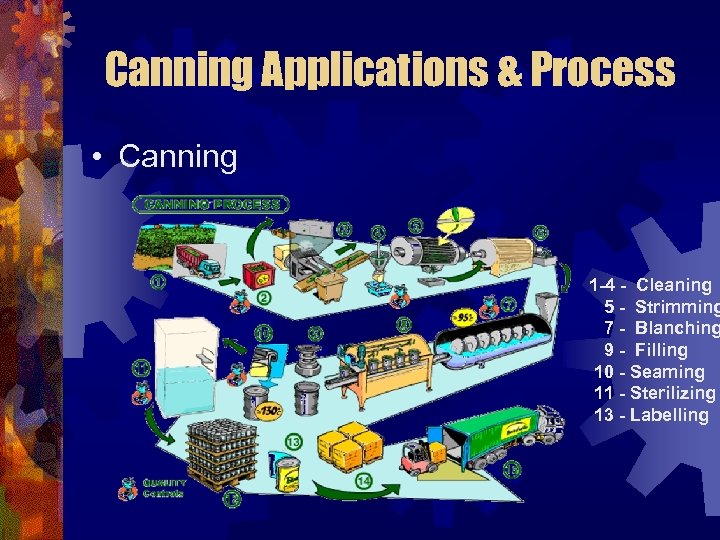 Canning Applications & Process • Canning 1 -4 - Cleaning 5 - Strimming 7