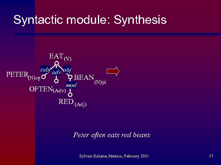 Syntactic module: Synthesis EAT (V) subj adv obj PETER(N)sg BEAN mod OFTEN(Adv) (N)pl RED