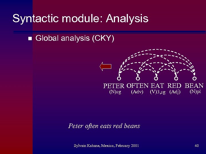 Syntactic module: Analysis n Global analysis (CKY) PETER OFTEN EAT RED BEAN (N)sg (Adv)