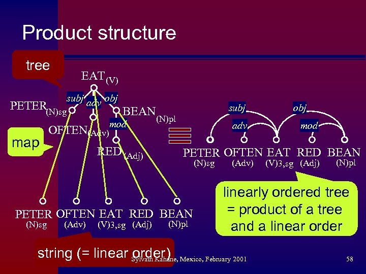 Product structure tree EAT (V) subj adv obj PETER(N)sg BEAN mod map OFTEN(Adv) RED