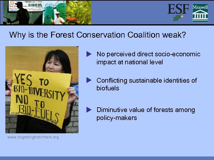 Why is the Forest Conservation Coalition weak? No perceived direct socio-economic impact at national