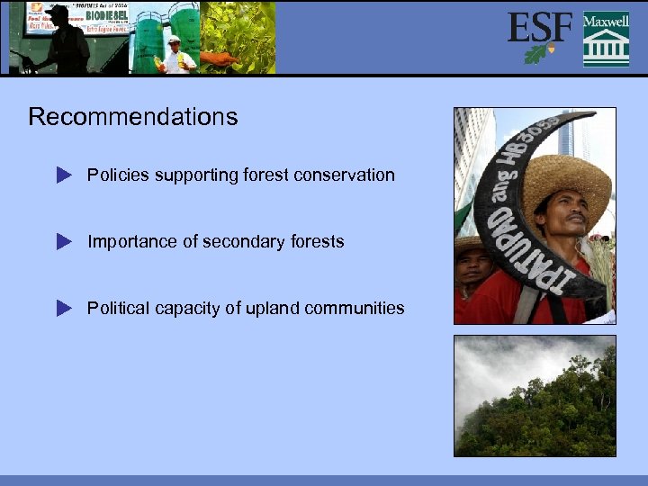 Recommendations Policies supporting forest conservation Importance of secondary forests Political capacity of upland communities