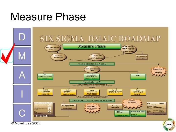 Measure Phase D M A I C © Novel Idea 2004 