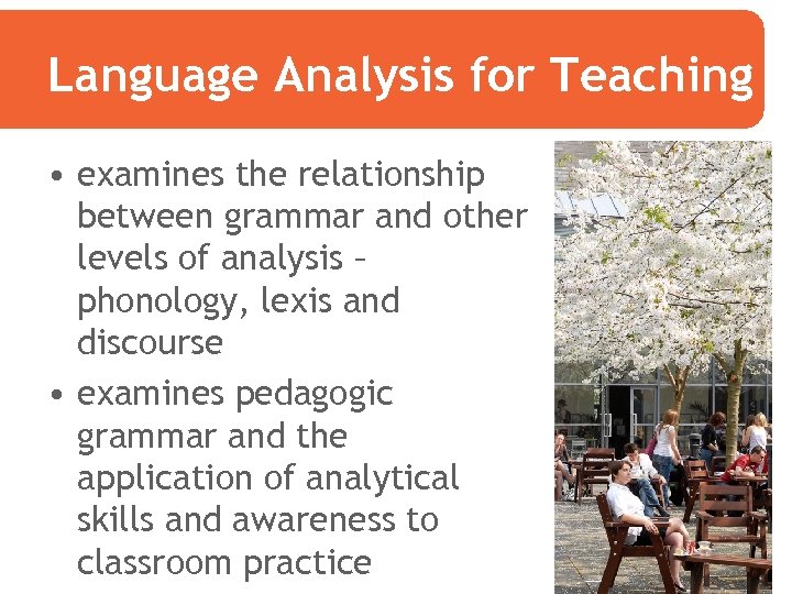 Language Analysis for Teaching • examines the relationship between grammar and other levels of