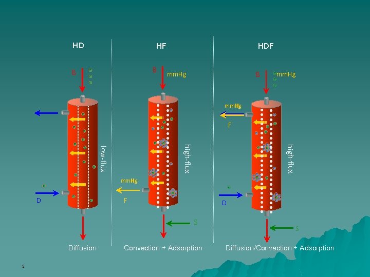 HD HF B B HDF B mm. Hg F high-flux low-flux mm. Hg F