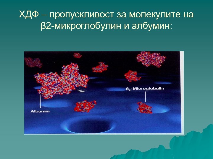 ХДФ – пропускливост за молекулите на β 2 -микроглобулин и албумин: 