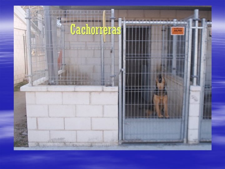 Cachorreras 