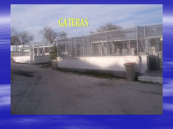GATERAS 