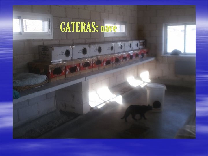 GATERAS: nave 