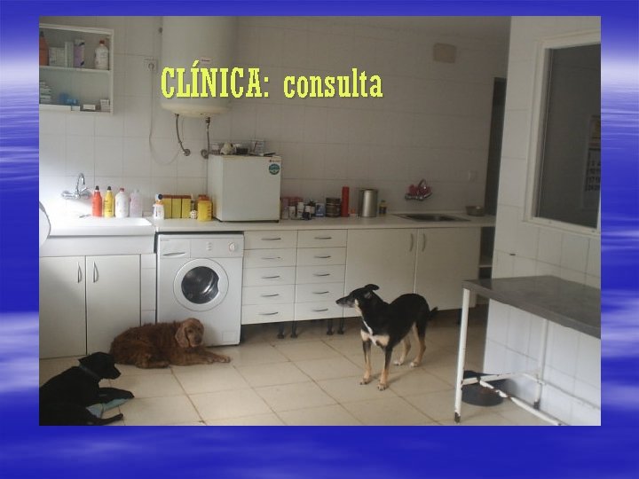 CLÍNICA: consulta 