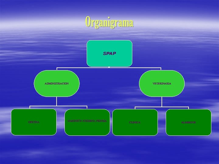 Organigrama SPAP ADMINISTRACION OFICINA GABINETE JURIDICO, PRENSA VETERINARIA CLINICA ALBERGUE 
