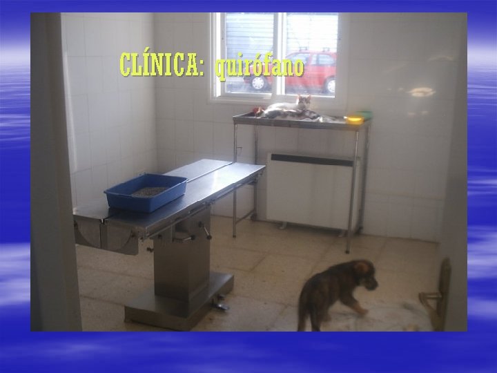 CLÍNICA: quirófano 