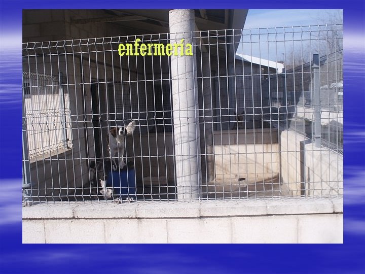 enfermería 