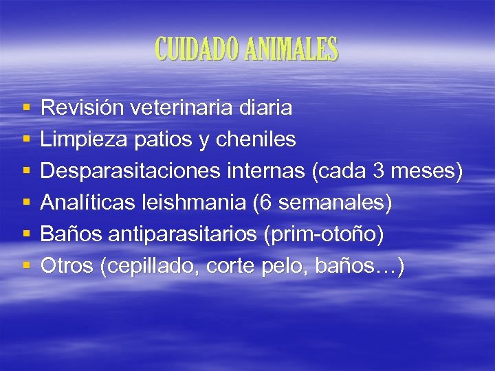 CUIDADO ANIMALES § § § Revisión veterinaria diaria Limpieza patios y cheniles Desparasitaciones internas