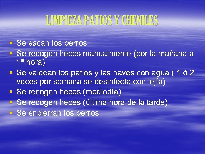 LIMPIEZA PATIOS Y CHENILES § Se sacan los perros § Se recogen heces manualmente