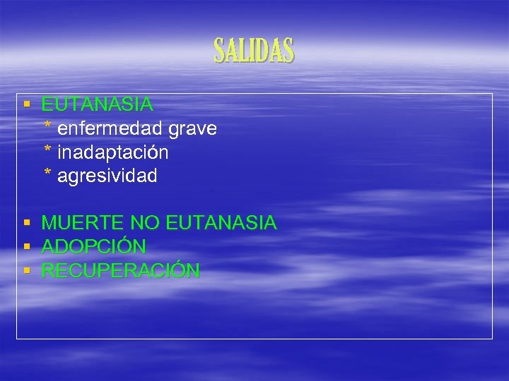 SALIDAS § EUTANASIA * enfermedad grave * inadaptación * agresividad § § § MUERTE