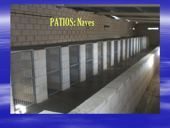 PATIOS: Naves 