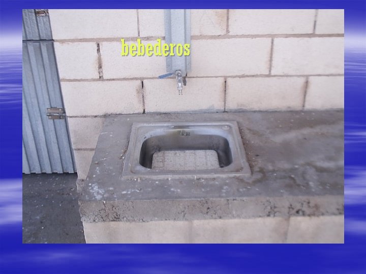 bebederos 