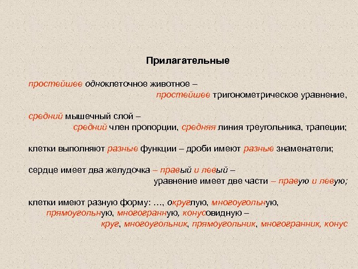 Прилагательные простейшее одноклеточное животное – простейшее тригонометрическое уравнение, средний мышечный слой – средний член
