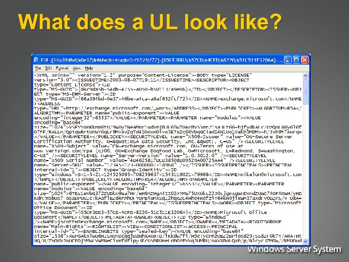 What does a UL look like? 