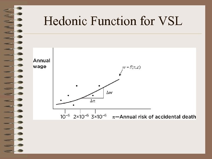 Hedonic Function for VSL 