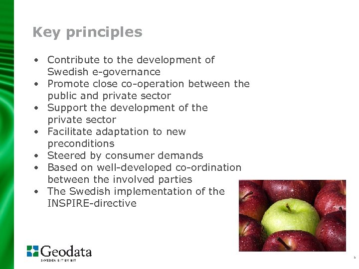 Key principles • Contribute to the development of Swedish e-governance • Promote close co-operation