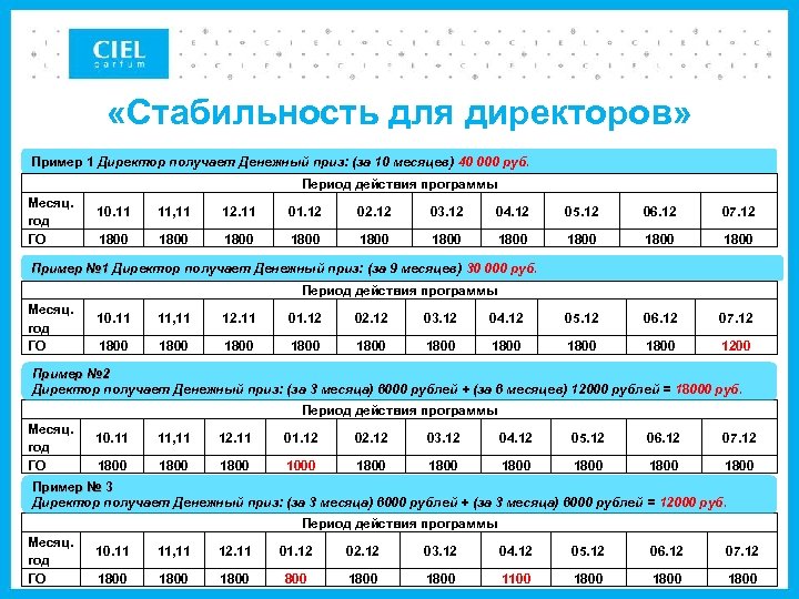  «Стабильность для директоров» Пример 1 Директор получает Денежный приз: (за 10 месяцев) 40