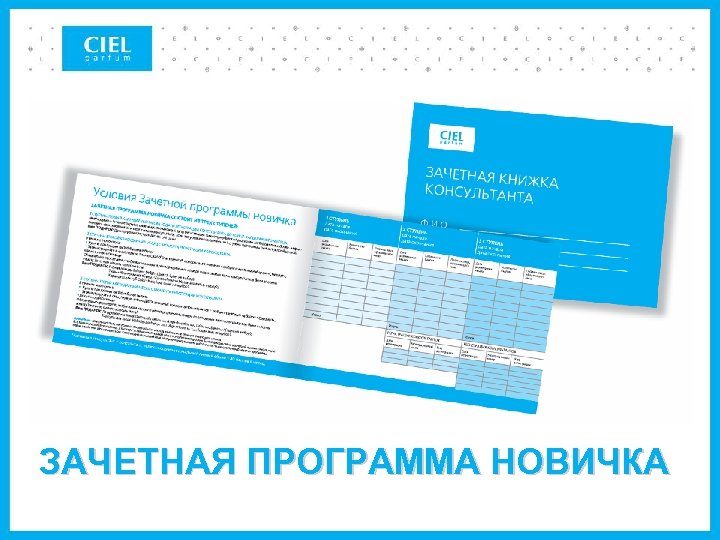 ЗАЧЕТНАЯ ПРОГРАММА НОВИЧКА 